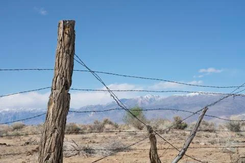 Rustic barbed wire fence Stock Photos
