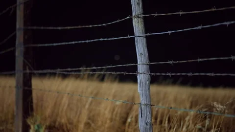 Rustic Barbed Wire Fence Post in Golden Grass Field at Night. Stock Footage 337906936