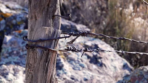 Rustic Barbed Wire Stock Footage 234178735