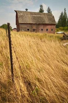 Rustic Barn and Dry Grass 写真素材