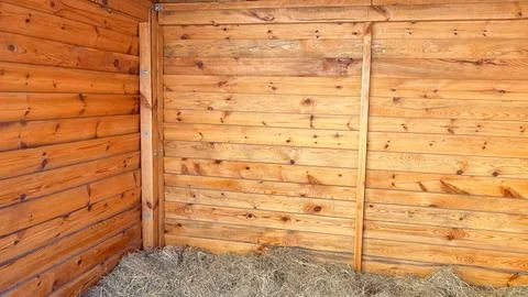 Rustic barn interior featuring warm wooden plank walls and a thick layer of.. Foto stock
