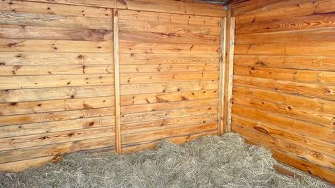 Rustic barn interior featuring warm wooden plank walls and a thick layer of.. Фото
