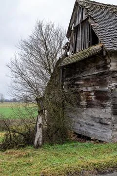 Rustic Barn, Overgrown Stock Photos