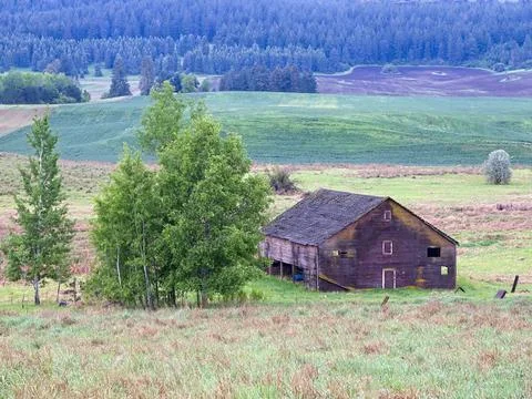 Rustic barn standing in a meadow. Stock Photos