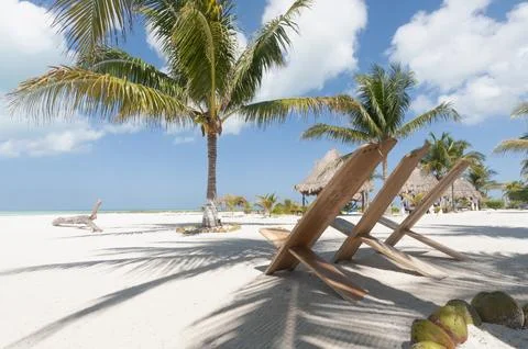 Rustic beach chairs with palm trees in the tropics Stock Photos