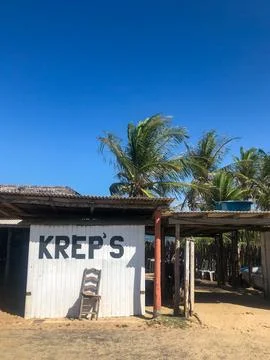 Rustic Beachfront Shack with Palm Trees Stock Photos