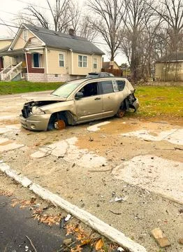 Rustic Behavior Stock Photos