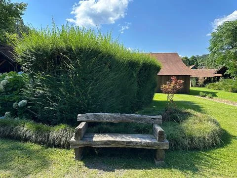 Rustic Bench in Lush Garden Stock Photos