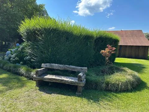 Rustic Bench by Lush Hedge Stock Photos