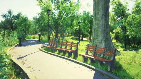 Rustic bench seating along curving park trail under large tree Stock Footage 341583906