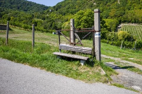 Rustic Bench by the Vineyard Stock Photos
