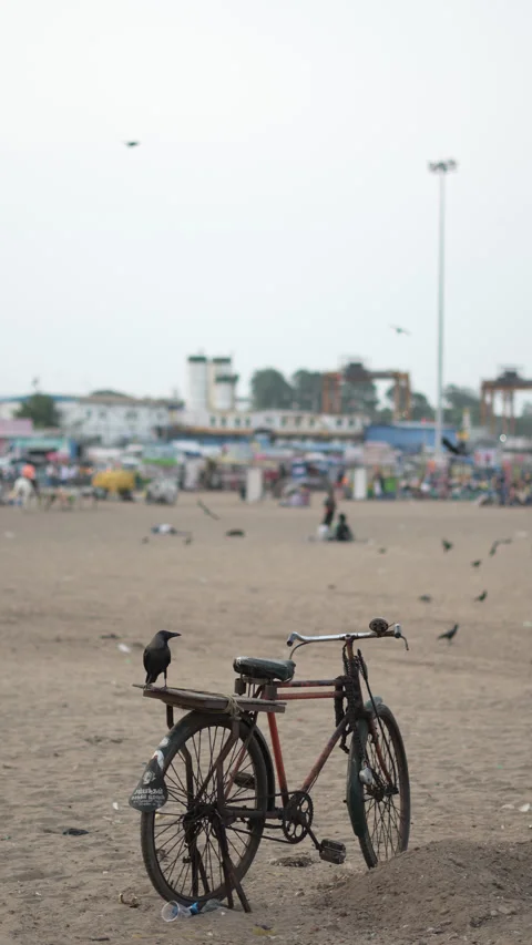 Rustic BIcycle on beach with crows shot on 14/04/2025,Chennai,Tamil nadu,India 스톡 동영상 306658247