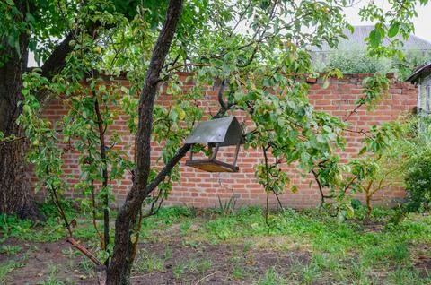Rustic Birdhouse on Fruit Tree Branch Stock Photos