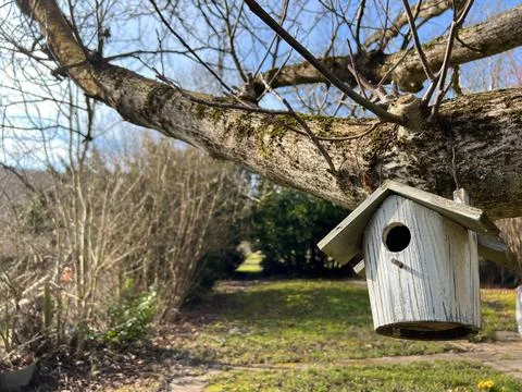 Rustic birdhouse on a leafless branch Stock Photos
