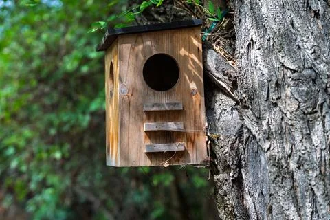 A rustic birdhouse on a tree. Stock Photos