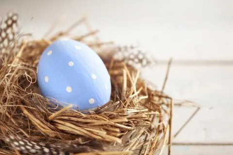 Rustic Blue Egg in the Hay Nest on the Wooden Background Stock Photos