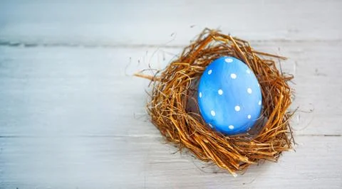 Rustic Blue Egg in the Hay Nest Stock Photos