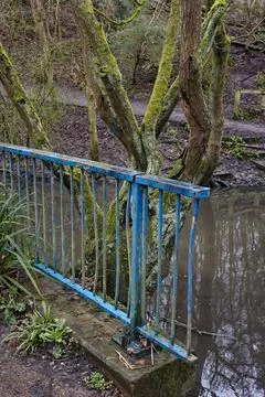 Rustic blue railing beside a moss-covered tree by a calm river. Stock Photos