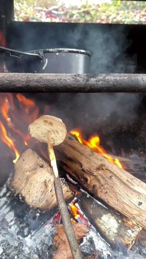 Rustic Bread Toasting and Tea Brewing in the Forest Stock Footage 296501415