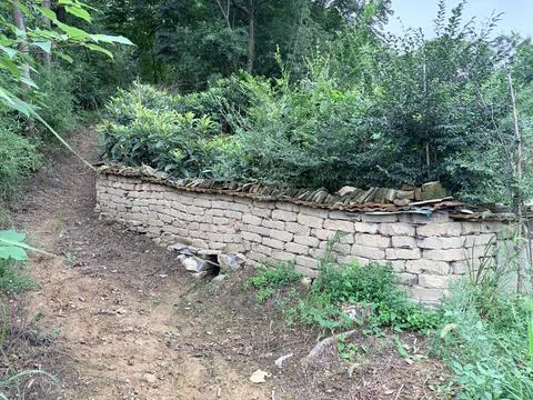 Rustic Brick Wall Surrounded by Lush Greenery in a Forest Path Stock-Fotos