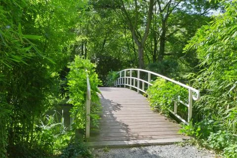 Rustic bridge in the forest Stock Photos