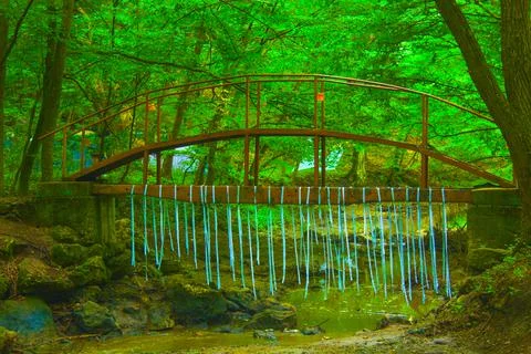 Rustic bridge in green forest nature Stock Photos