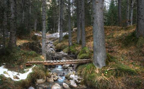 Rustic bridge over alpine river in the forest Stock Photos