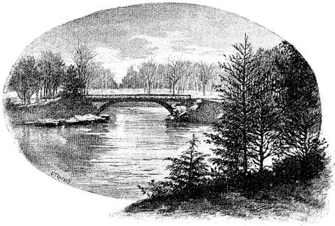 A rustic bridge over the Great Lake Bois de Boulogne, vintage engraving. Illustrazione stock