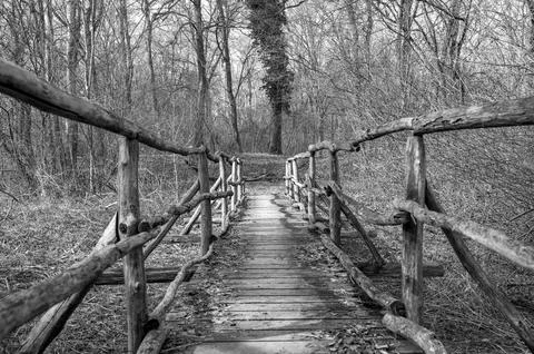Rustic Bridge to the Woods Stock Photos