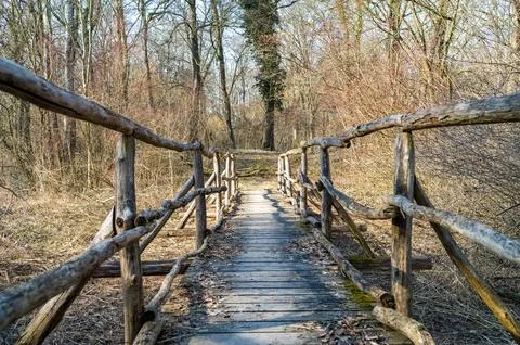 Rustic Bridge to the Woods Stock Photos