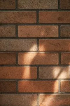 Rustic Brown Brick Wall Texture with Natural Sunlight Shadows 스톡 사진