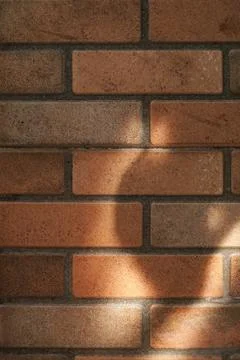 Rustic Brown Brick Wall Texture with Natural Sunlight and Shadows Stock-Fotos