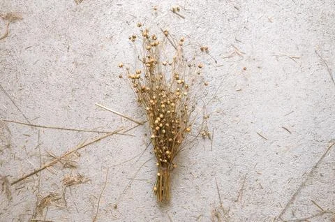 Rustic bundle of dried flowers on textured surface for natural decor and desi Stock Photos