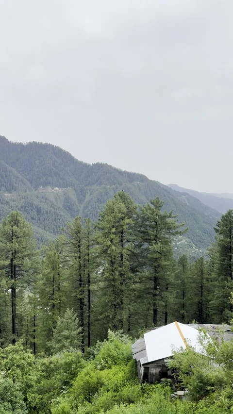 Rustic Cabin Amid a Lush Green Mountain Valley Stock Footage 326928223