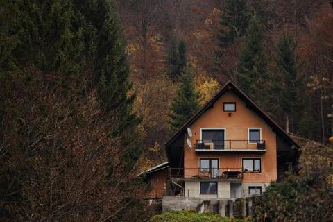 Rustic cabin amid pine trees with vibrant autumn colors Stock Photos