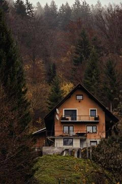 Rustic cabin amid pine trees with vibrant autumn colors Stock Photos