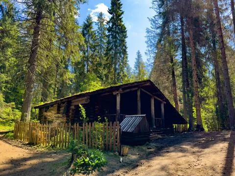 Rustic Cabin in a Forest Clearing Stock Photos