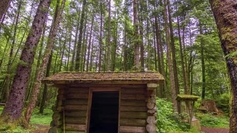 Rustic cabin hidden in Ecola State Park forest, Oregon a quiet retreat among Pac Stock Footage 309295127