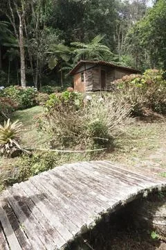 Rustic cabin in the middle of the woods Stock Photos