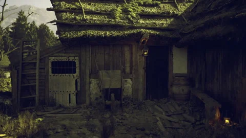 Rustic cabin nestled in nature with weathered charm during golden hour Stock Footage 338343933