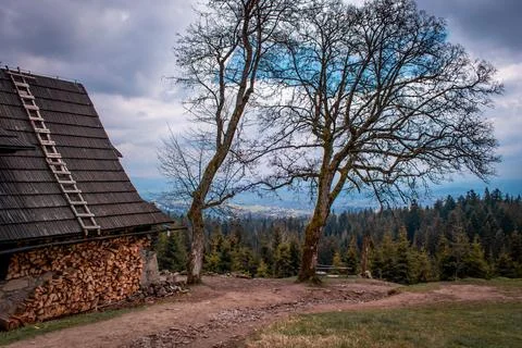 A rustic cabin 스톡 사진