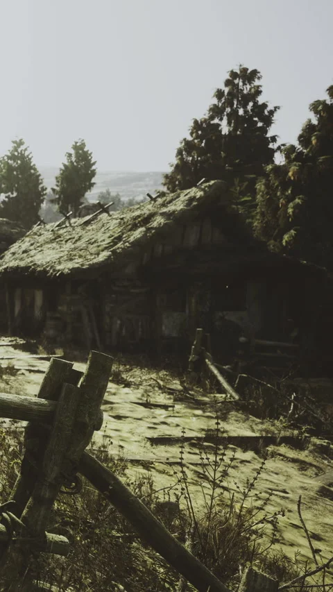 Rustic cabin resting in nature with golden sunlight filtering through trees Stock Footage 340081164