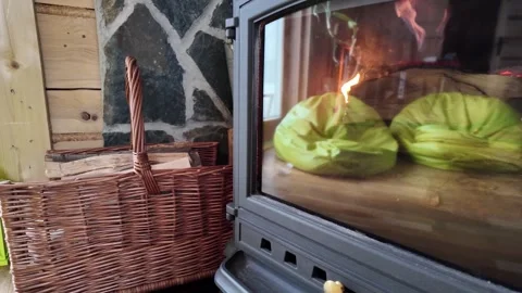 Rustic Cabin Stove with Flames and Home Reflections Stock Footage 336289905