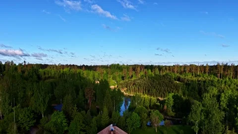 Rustic Cabin Surrounded by Lush Forest Stock Footage 336569557