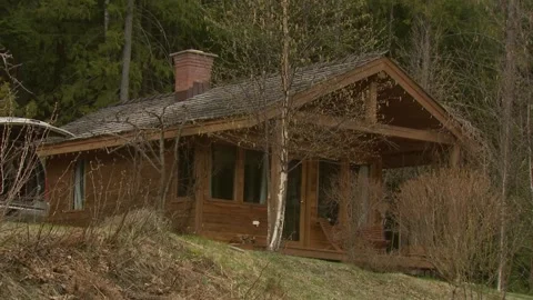 Rustic cabin in the woods Video stock 303934292