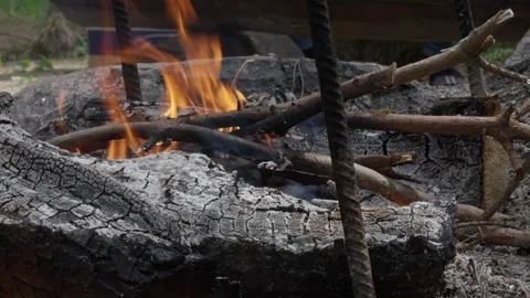 Rustic Campfire in Belarusian Forest Setting Stock Footage 278266153