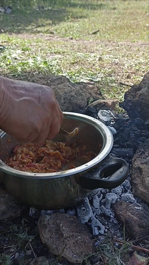 Rustic Camping Food: Sizzling Eggplant with Tomato on Open Fire Video stock 334580663