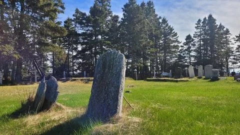 Rustic cedar headstones evoke memory and heritage in a peaceful rural cemetery. Stockfoto's