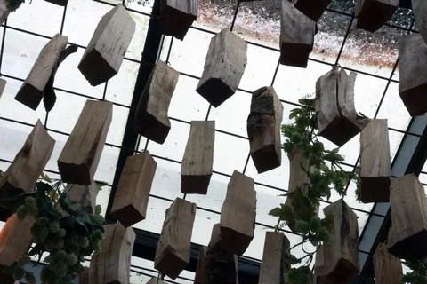 Rustic Ceiling Decor with Hanging Wood Blocks and Foliage in Industrial Setti Stock Photos