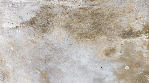 Rustic cement wall with aged surface marks and decay. Cracked texture great.. Stock Photos